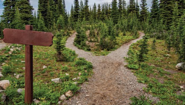 How to Choose a Health Career