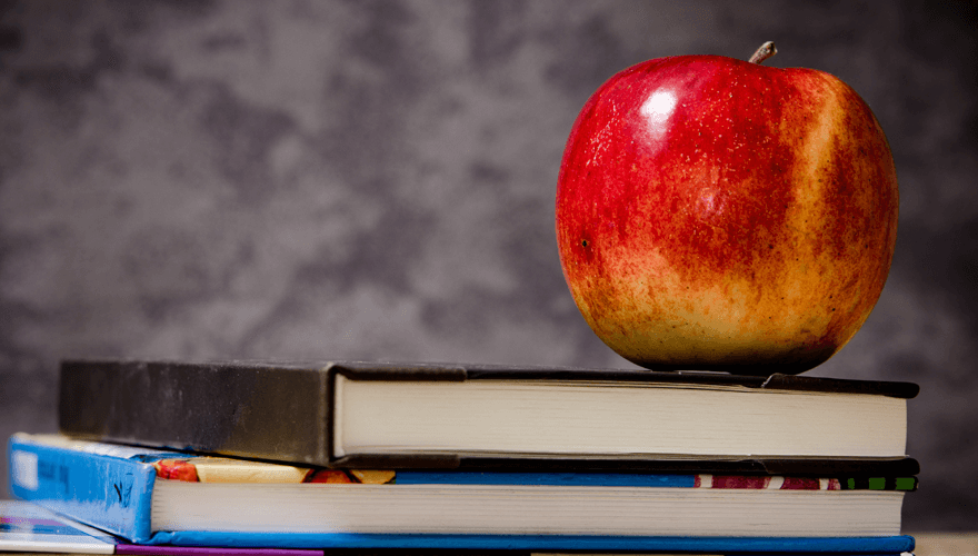 School Nurse School Nurse - 13 Least Stressful Nursing Jobs