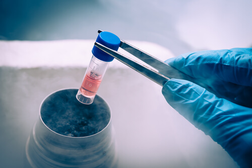 Cryopreservation Technician Cryopreservation Technician - Emerging Medical Careers