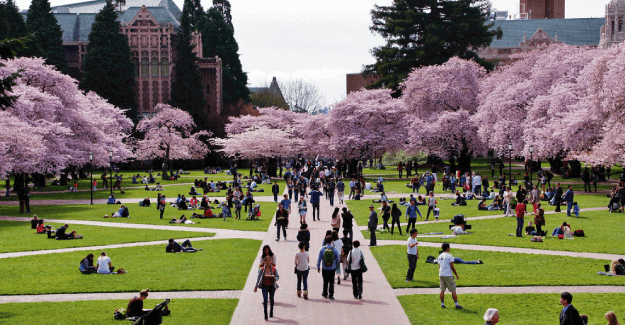 University of Washington University of Washington - Best Master of Science in Nursing (MSN) Programs in 2019